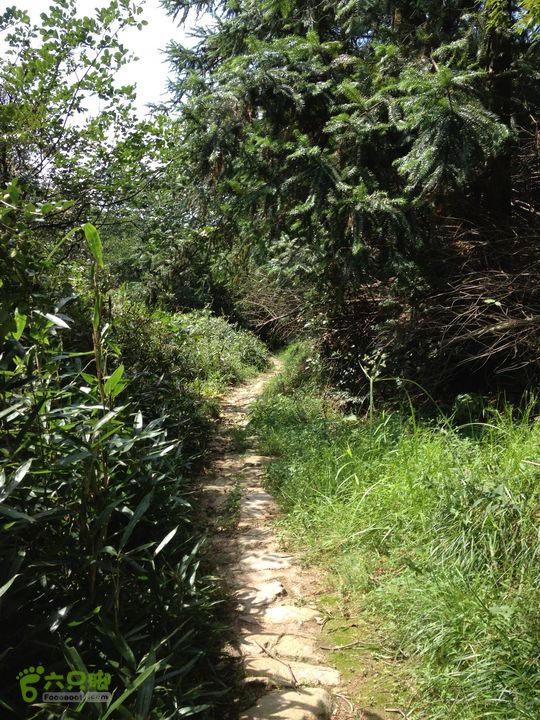 大嵩岭古道徒步20120902047 去往横街村山道