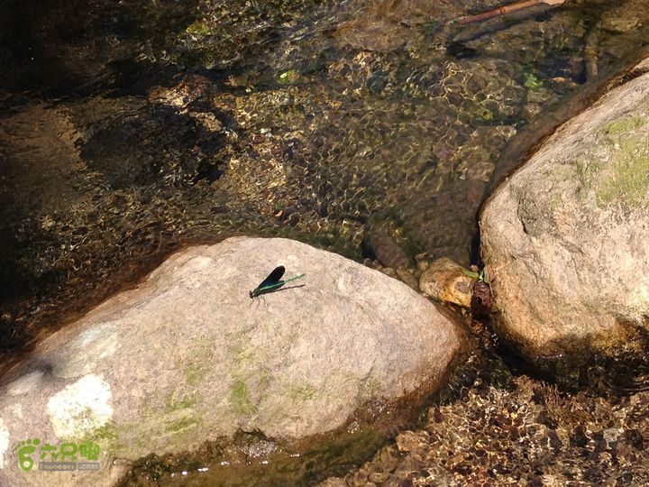 大嵩岭古道徒步20120902048 山涧溪流