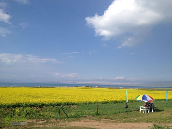 环青海湖第一天下午闲适的生活，点缀的美景