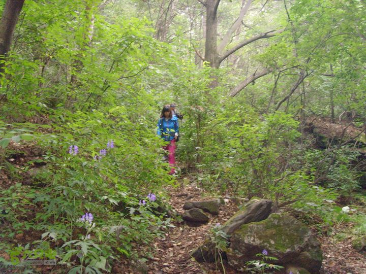 豪宅一天仙瀑一景区门口SNV34475