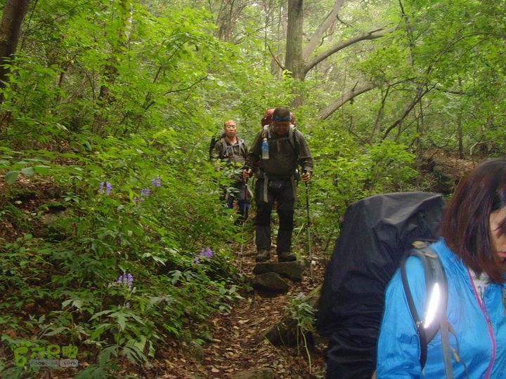 豪宅一天仙瀑一景区门口SNV34476