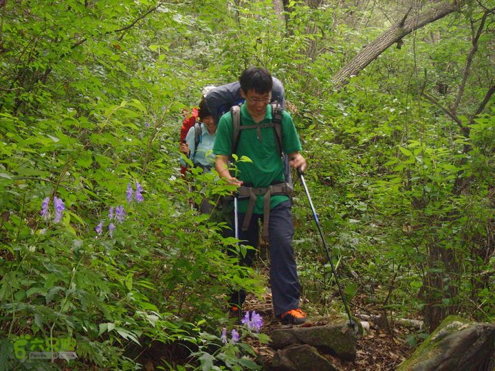 豪宅一天仙瀑一景区门口SNV34478