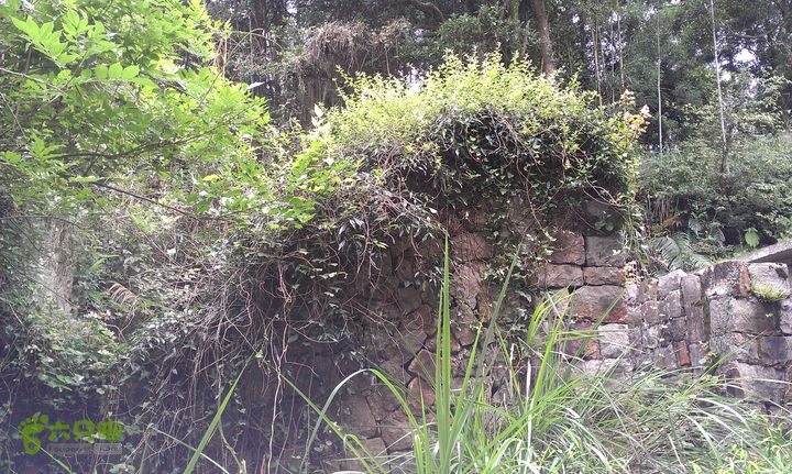 踏秋寻古之鼓岭休闲行（鼓岭古道、鳝溪古道）IMAG0870