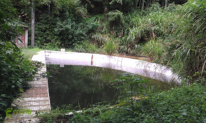踏秋寻古之鼓岭休闲行（鼓岭古道、鳝溪古道）IMAG0872