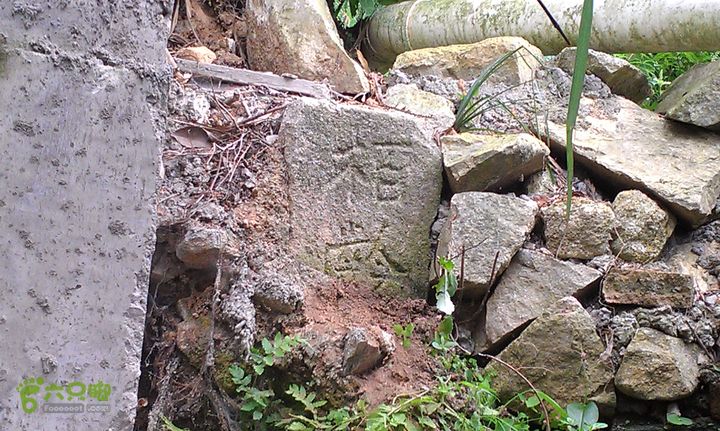 踏秋寻古之鼓岭休闲行（鼓岭古道、鳝溪古道）IMAG0912