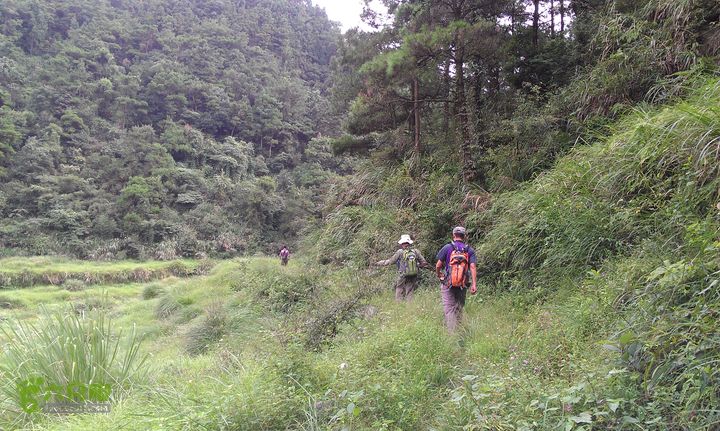 踏秋寻古之鼓岭休闲行（鼓岭古道、鳝溪古道）IMAG0918