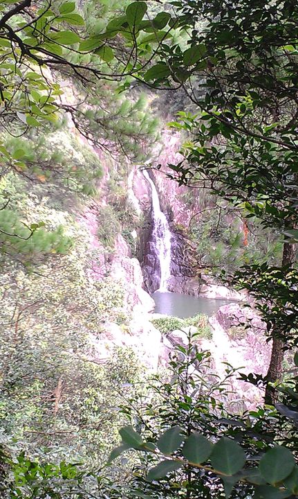 踏秋寻古之鼓岭休闲行（鼓岭古道、鳝溪古道）IMAG0937