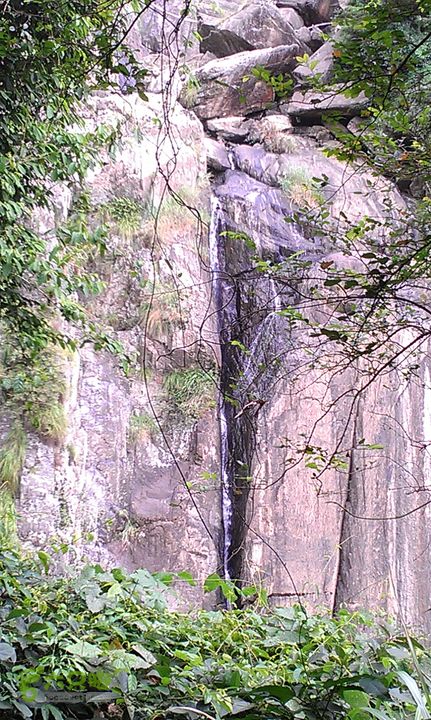 踏秋寻古之鼓岭休闲行（鼓岭古道、鳝溪古道）IMAG0953