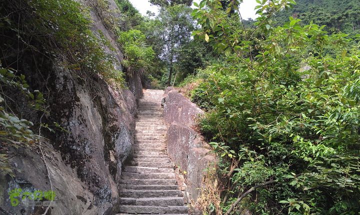 踏秋寻古之鼓岭休闲行（鼓岭古道、鳝溪古道）IMAG0956