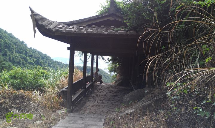 踏秋寻古之鼓岭休闲行（鼓岭古道、鳝溪古道）IMAG0957