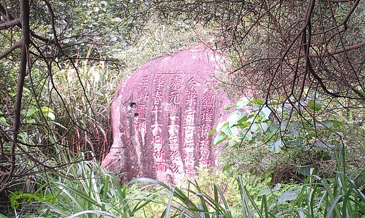 踏秋寻古之鼓岭休闲行（鼓岭古道、鳝溪古道）IMAG0997