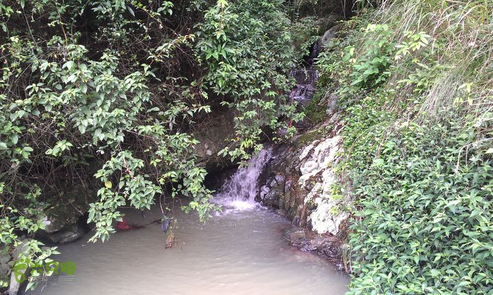 踏秋寻古之鼓岭休闲行（鼓岭古道、鳝溪古道）IMAG0922