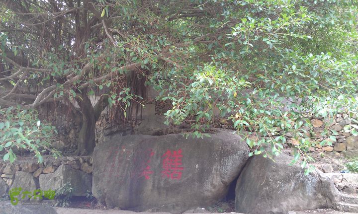 踏秋寻古之鼓岭休闲行（鼓岭古道、鳝溪古道）IMAG1019