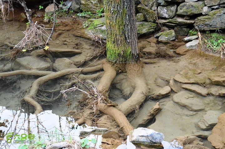 京房山 六渡-三清洞-六渡@12091520120915-130509