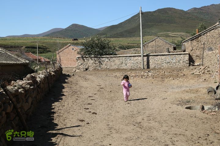 丰宁坝上伴着牛粪，信步。