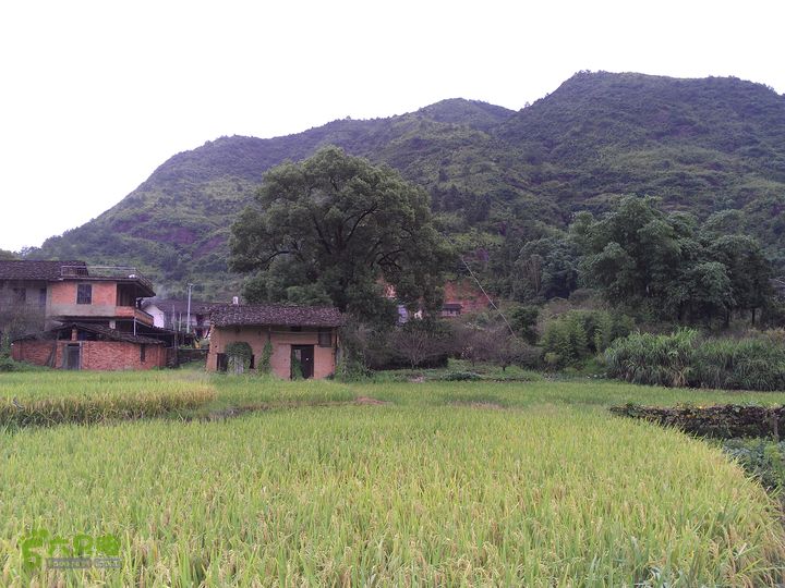 横串古道IMAG1413