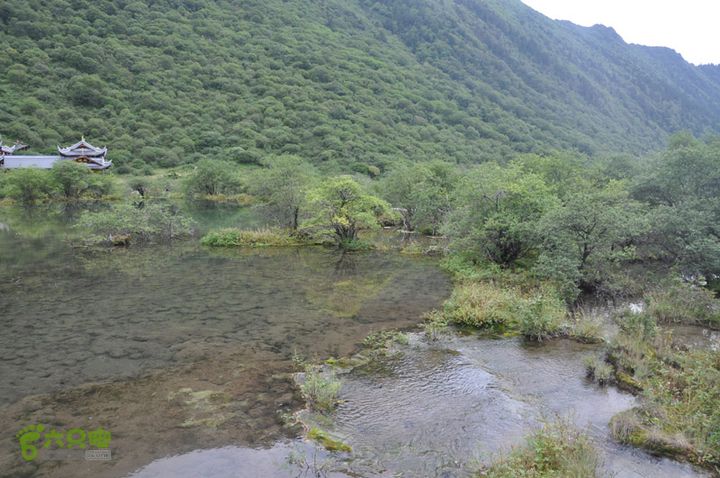2012-8-22四川黄龙沟DSC_0361