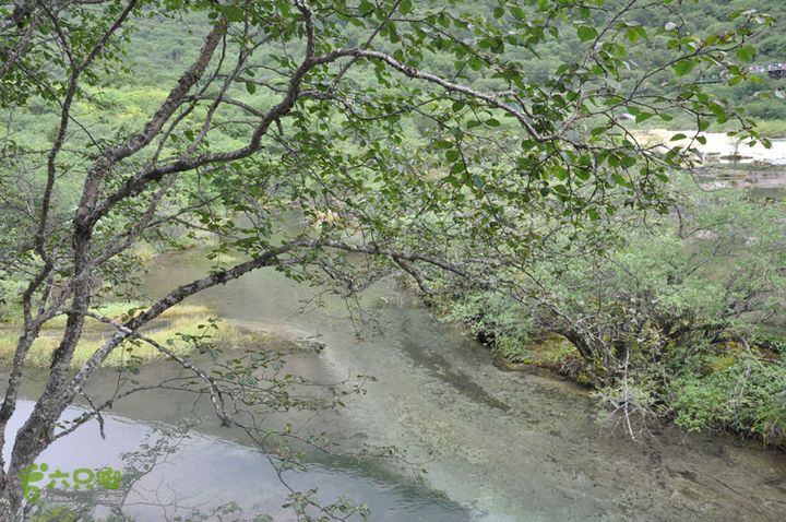 2012-8-22四川黄龙沟DSC_0369