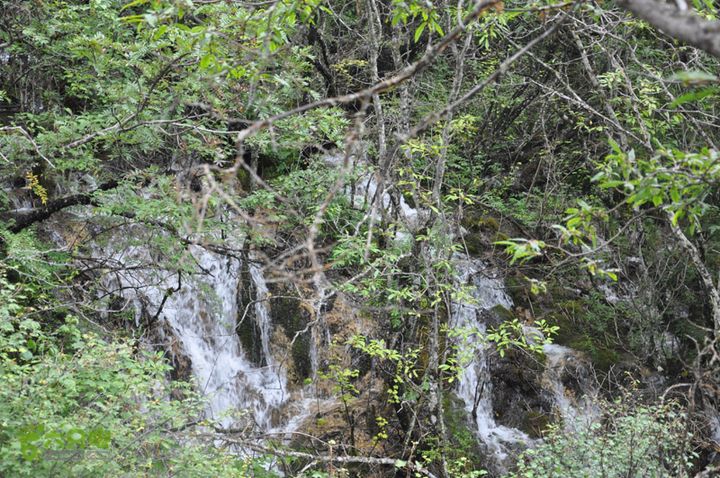 2012-8-22四川黄龙沟DSC_0372