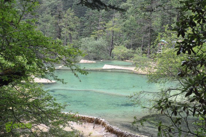 2012-8-22四川黄龙沟DSC_0666