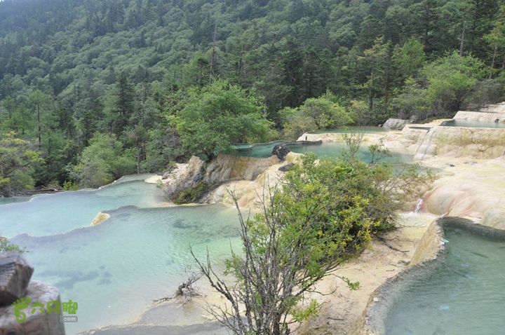 2012-8-22四川黄龙沟DSC_0696