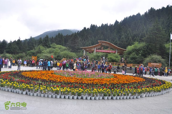2012-8-22四川黄龙沟DSC_0717