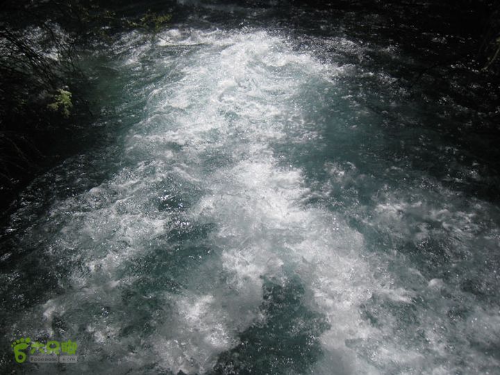 2012-8-23四川九寨沟之日则沟dsc-1 (82)