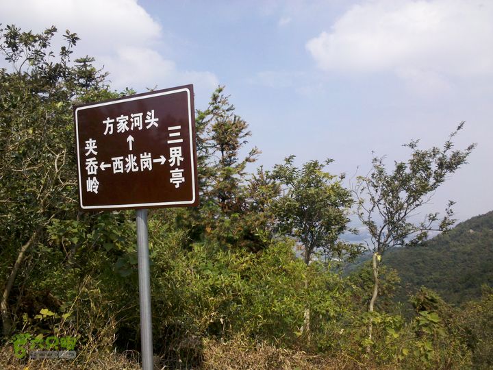 金沙-夹岙岭-方家河头-西兆岗-三界亭-桃花岭-横溪村西兆岗顶