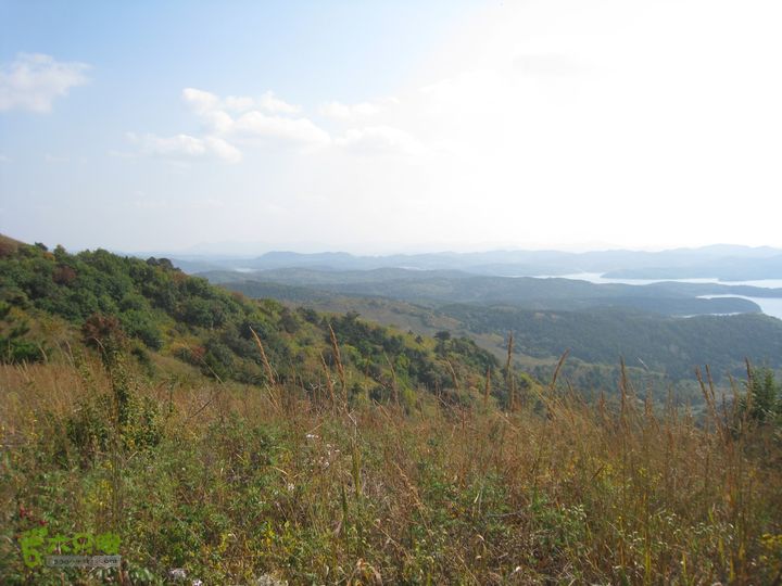 铁岭柴河水库东北转山IMG_3730
