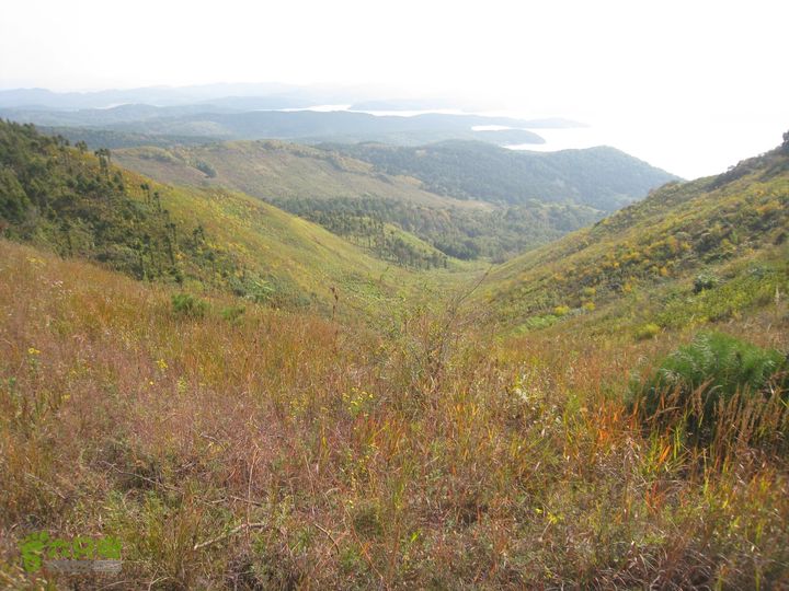铁岭柴河水库东北转山IMG_3753