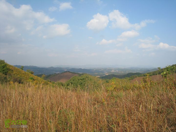 铁岭柴河水库东北转山IMG_3768