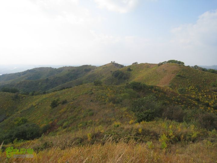 铁岭柴河水库东北转山IMG_3774