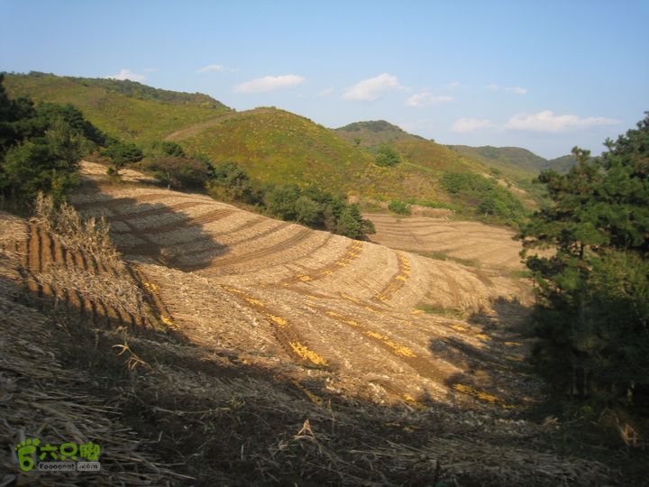 铁岭柴河水库东北转山IMG_3802