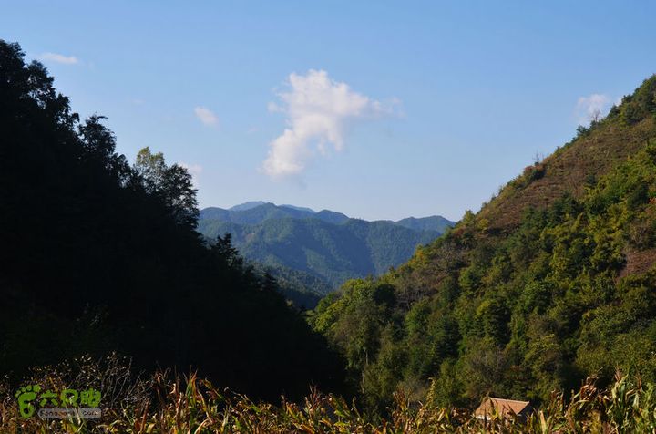 国庆葛牌柞水广货街骑行DSC_0107