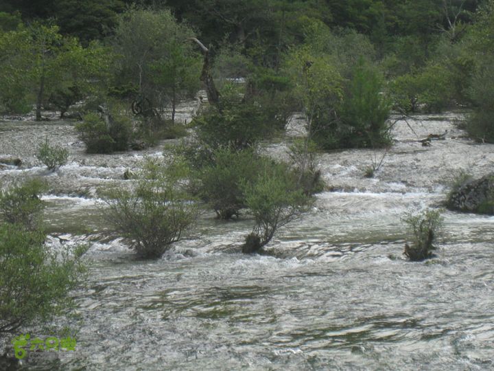 2012-8-23四川九寨沟之则查洼沟-树正沟-出口dsc-1 (130)