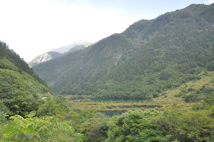 2012-8-23四川九寨沟之则查洼沟-树正沟-出口dsc-1 (132)