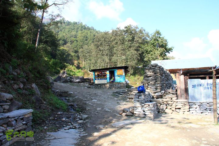 尼泊尔徒步jhinu danda-sauli bazarIMG_5859