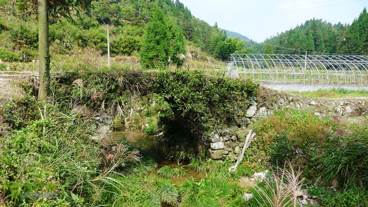麻芝川_石垟_龙娘山_东山美丽的小石桥