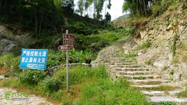 麻芝川_石垟_龙娘山_东山这里上去通往鹿城最高峰龙娘山