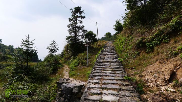 麻芝川_石垟_龙娘山_东山左侧的小路下山是泽雅东山村，等下返程就从这里走。