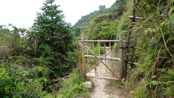 麻芝川_石垟_龙娘山_东山这小柴门，是挡黄牛的。