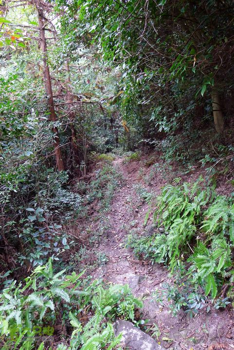麻芝川_石垟_龙娘山_东山返程的这条路基本还行