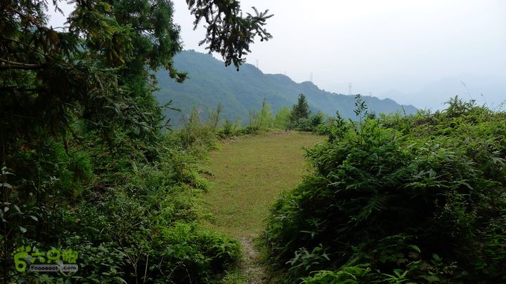 麻芝川_石垟_龙娘山_东山山上很多荒地，挺可惜的，若送给我，我一定好好耕作。