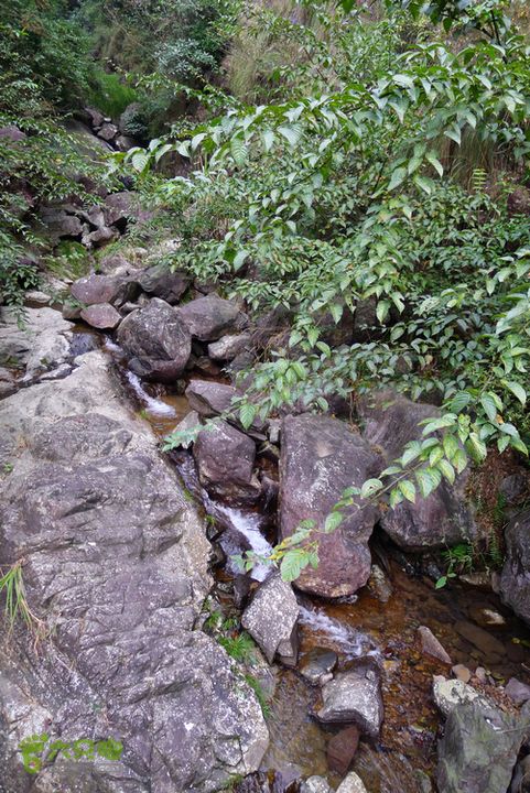 麻芝川_石垟_龙娘山_东山这里的水不错，灌了两瓶解渴。