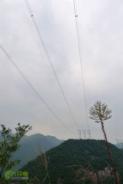 麻芝川_石垟_龙娘山_东山弱弱地问一下，这电线是怎么架上去的？用灰机吗？