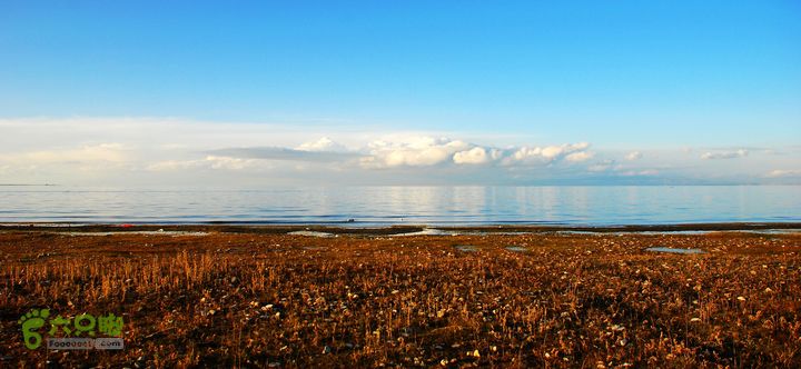 青海湖、茶卡盐湖、坎布拉、沙坡头、腾格里沙漠、平遥古城之旅青海湖1