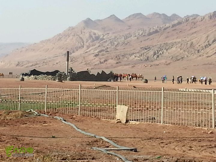 贵阳-新疆定海神针