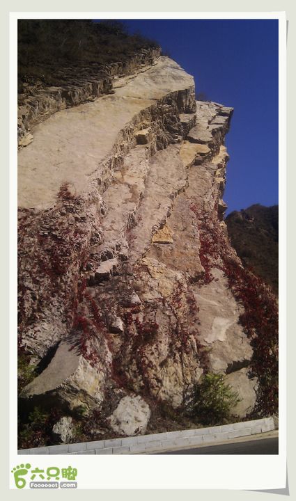 20121013四海、百里画廊环骑路侧的岩壁上爬着比血还红的爬藤红叶~