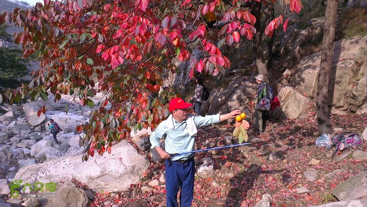 泰山：固顶山-新泰沟-明家滩20121014IMAG1600