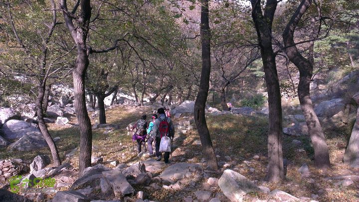 泰山：固顶山-新泰沟-明家滩20121014IMAG1574